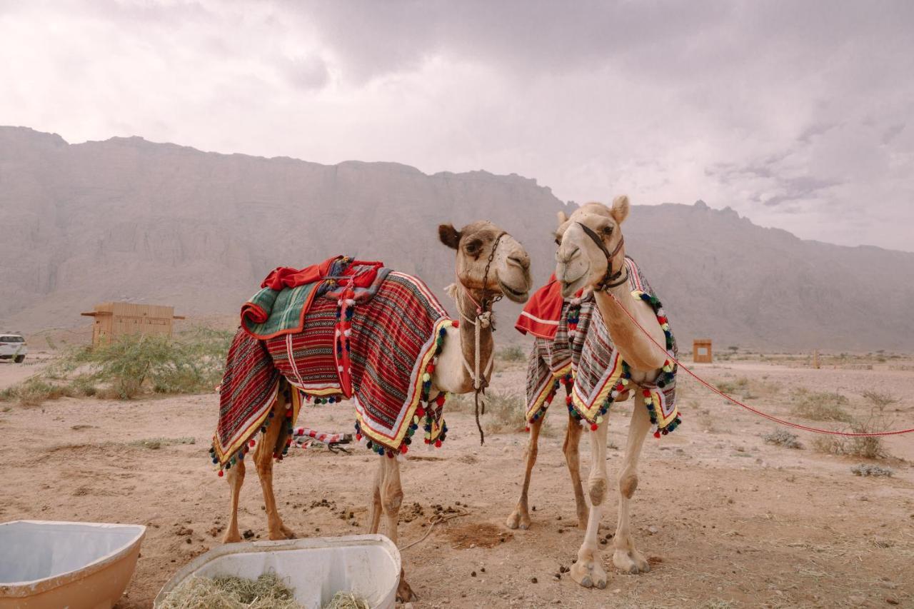 Pura Eco Retreat, Jebel Hafit Desert Park Al Ain Esterno foto